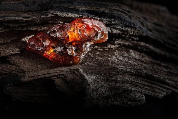 Natuurlijk Amber. Een stuk van gele en rode semitransparante natuurlijke Amber op stuk van stoned hout. — Stockfoto