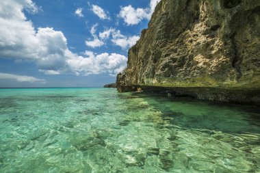 Grote Knip Plajı, Curacao,