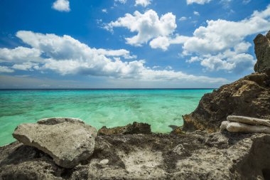 Grote Knip Plajı, Curacao,