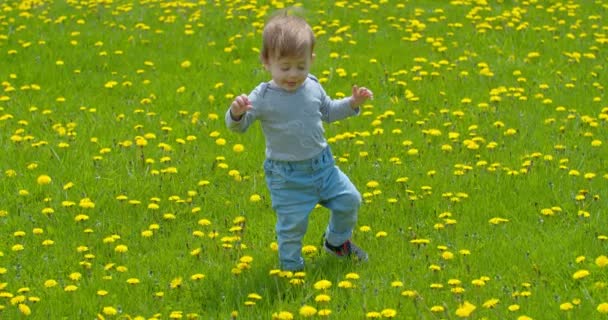 小さな赤ちゃんは散歩することを学ぶ。最初のステップ. — ストック動画