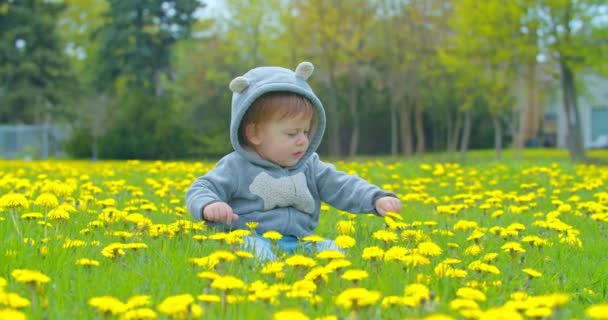 Маленький хлопчик грає в парку влітку — стокове відео