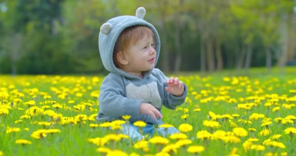 Маленький хлопчик грає в парку влітку — стокове відео