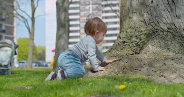Мальчик играет в парке в летнее время — стоковое видео