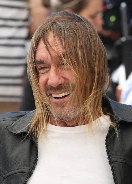 Iggy Pop Gimme Danger Photocall Festivalu Cannes Května 2016 Cannes — Stock fotografie