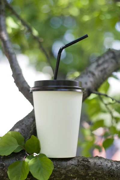 白色纸杯 带有带有热咖啡或茶的黑色管 站在树枝上 — 图库照片
