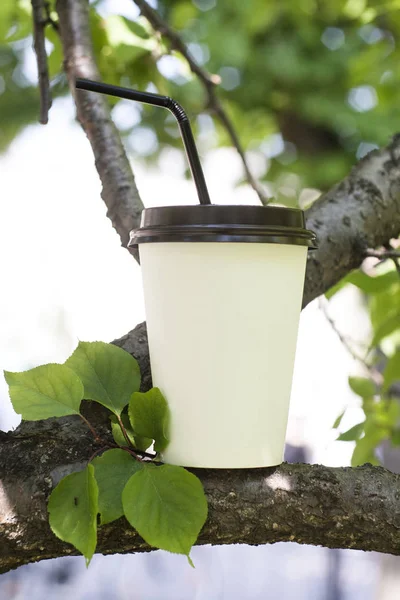 Uma Xícara Papel Branco Com Tubo Preto Com Café Quente — Fotografia de Stock