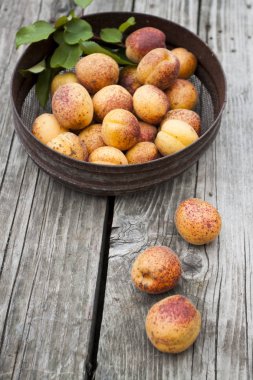 Olgun kayısı bir tabak. Eski yanık ahşap masa üzerinde eski demir kapta taze kayısı ev. Üstten Görünüm, rustik tarzı. Doğal ışık.