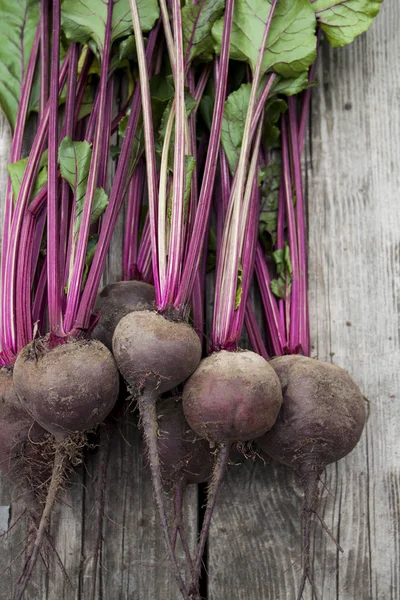 Organic red beet with green leaves on an old wooden background. Copy space