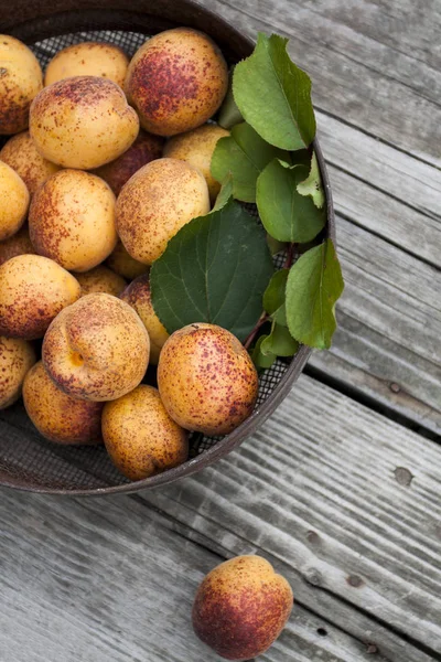 Plato Albaricoques Maduros Albaricoques Frescos Casa Tazón Hierro Viejo Vieja —  Fotos de Stock