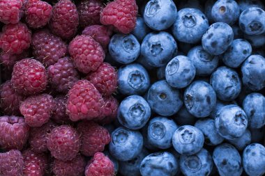 Aromalı taze yaban mersini ve ahududu gibi bir arka plan koyu renkler