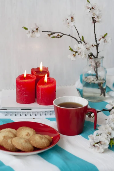 Uma pausa de estudo: uma equipe de copo e um prato de biscoitos . — Fotografia de Stock