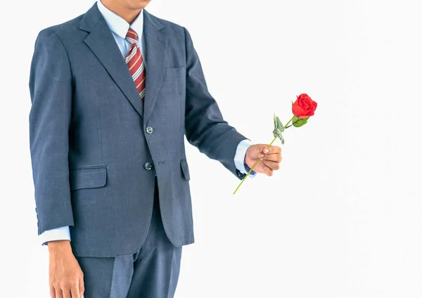 Close Photo Businessman Suit Holding Red Rose White Background — Stock Photo, Image