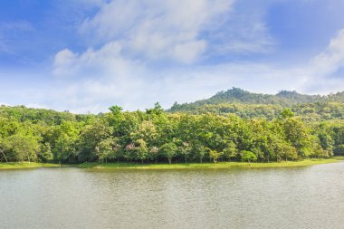 Jedkod Pongkonsao doğal çalışma ve eko-turizm merkezi,: Saraburi, Thailand