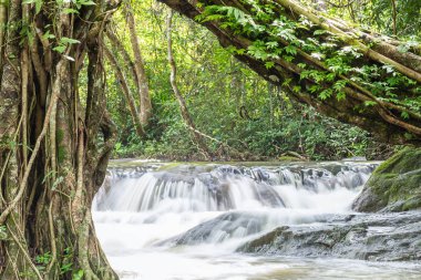 Jedkod şelale Jedkod Pongkonsao doğal çalışma ve eko-turizm merkezi, Khao Yai Milli Parkı, Saraburi Tayland