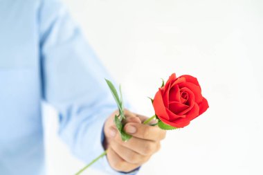 Beyaz arka planda elinde kırmızı güller tutan adamın yakın plan fotoğrafı.