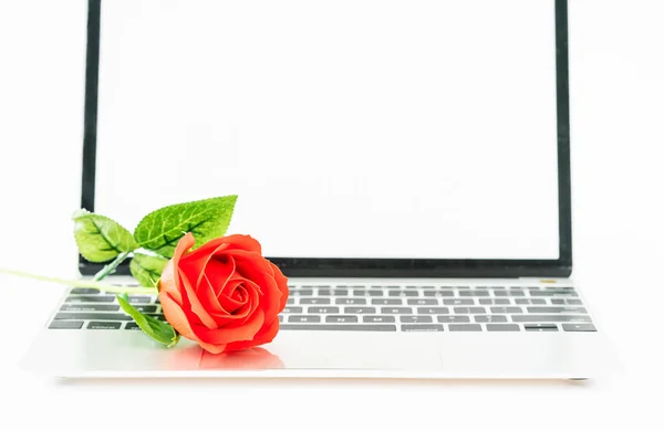 Vermelho Subiu Teclado Laptop Fundo Branco Conceito Valentine — Fotografia de Stock