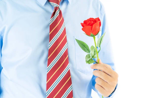 Fechar Foto Homem Segurando Rosas Vermelhas Mão Sobre Fundo Branco — Fotografia de Stock