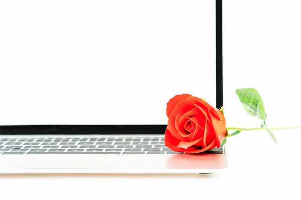 Red Rose Laptop Keyboard White Background Valentine Concept — Stock Photo, Image