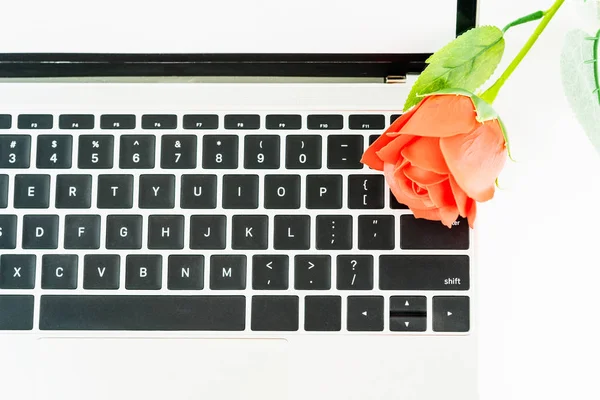 Rosa Rossa Sulla Tastiera Del Computer Portatile Sfondo Bianco Concetto — Foto Stock