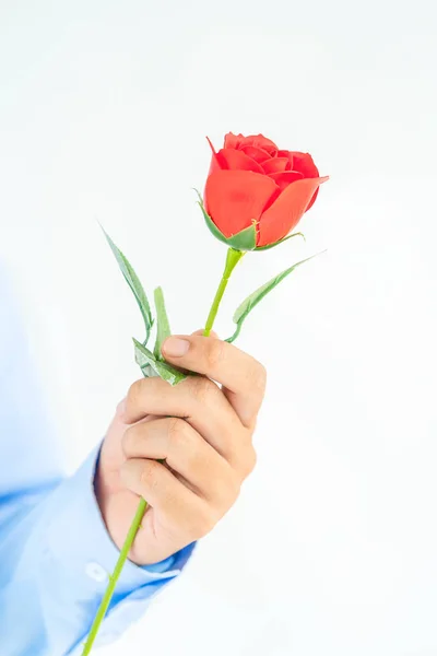 Närbild Bild Man Håller Röda Rosor Handen Vit Bakgrund — Stockfoto