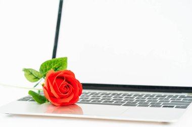 Beyaz arkaplanda dizüstü bilgisayarda kırmızı gül, Sevgililer Günü konsepti
