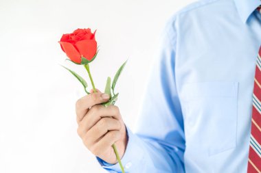 Beyaz arka planda elinde kırmızı güller tutan adamın yakın plan fotoğrafı.