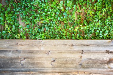 Yaprakları kapak duvar ve kahverengi ahşap tahta duvar doku arka plan üzerinde