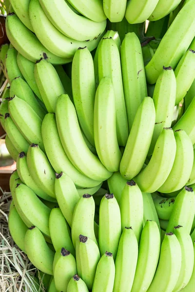 Montones Plátano Verde Fresco Cavendish Mercado Frutas Producen —  Fotos de Stock