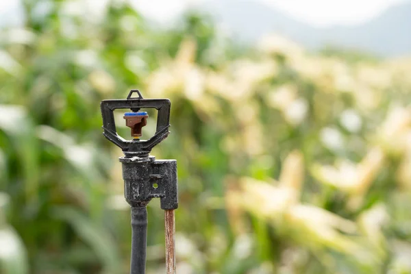 Zavlažovač Zavlažování Strom Stroje Automatické Zavlažovač Vysoké Trubici Pro Pole — Stock fotografie