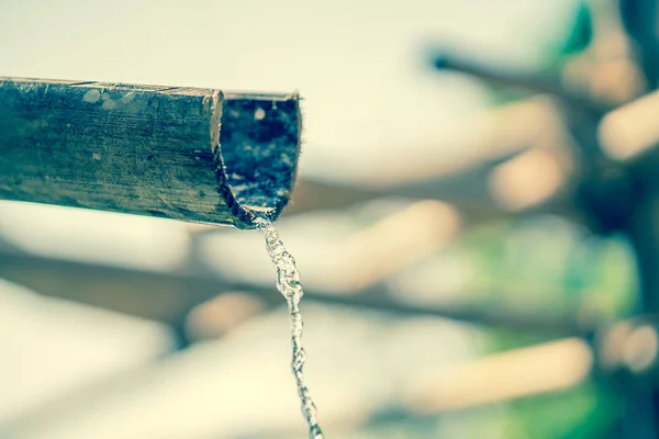 Fontana Bambù Tradizionale Con Acqua Nel Giardino Zen — Foto Stock