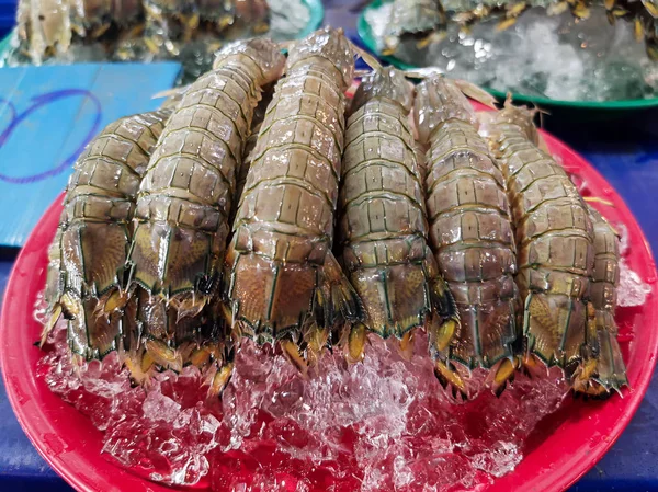 Een bord van mantis garnalen — Stockfoto