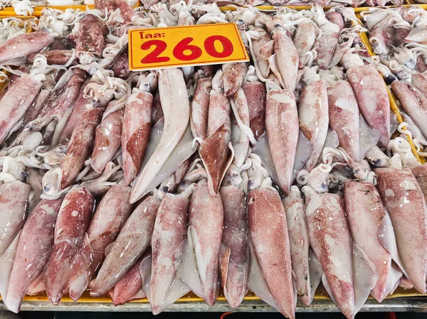 Frische Tintenfische auf dem Markt — Stockfoto