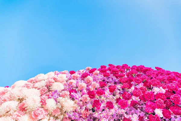 Cravo Flores e Chrisântemo flores — Fotografia de Stock