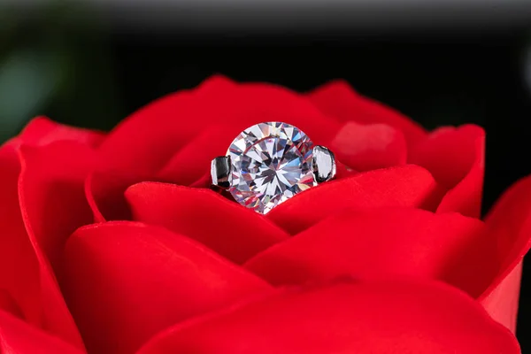 Anillos de boda de diamantes en rosas rojas —  Fotos de Stock