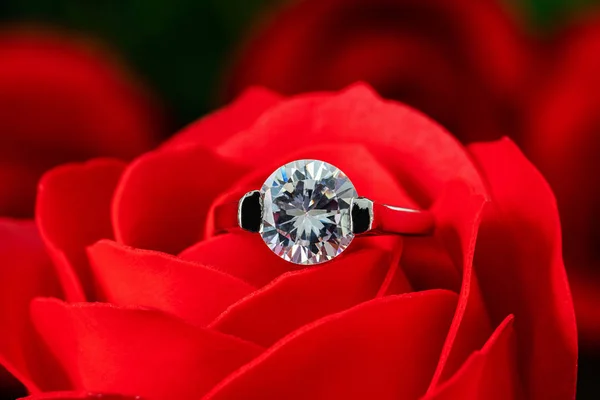 Anillos de boda de diamantes en rosas rojas —  Fotos de Stock