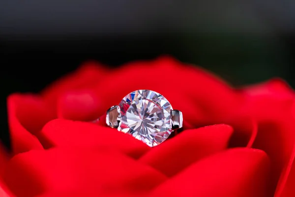Anéis de casamento de diamante em rosas vermelhas — Fotografia de Stock