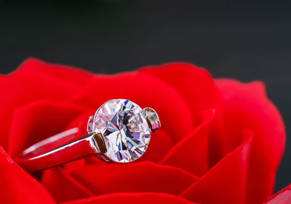 Anéis de casamento de diamante em rosas vermelhas — Fotografia de Stock