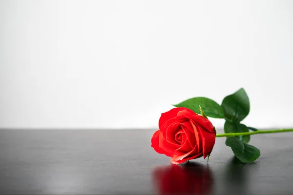 Rose Rouge Sur Fond Blanc Agent Table Bois Concept Valentine — Photo