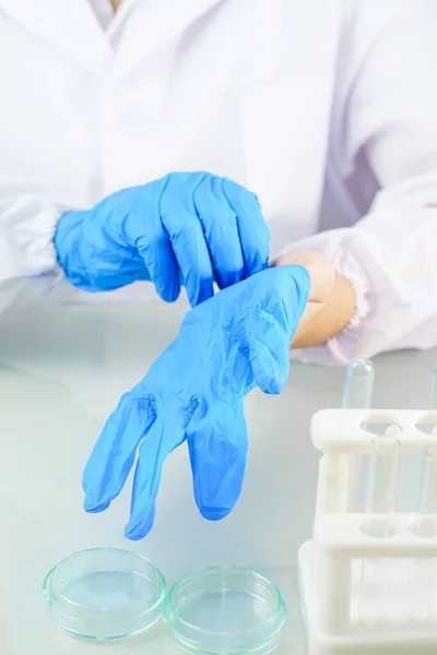 Primer Plano Científico Manos Poner Guantes Látex Azul Nitrilo Labcoat — Foto de Stock