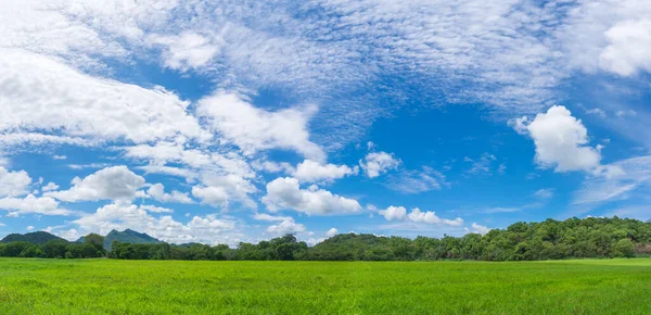 Panoramic Landscape View Green Grass Field Agent Blue Sky Countryside — Stock Photo, Image