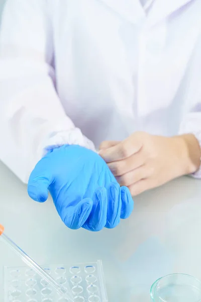 Primer Plano Científico Manos Poner Guantes Látex Azul Nitrilo Labcoat — Foto de Stock