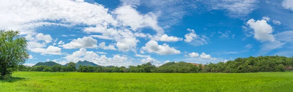 Panoramic Landscape View Green Grass Field Agent Blue Sky Countryside — Stock Photo, Image