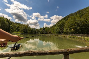 arka plan, güzel, mavi, tekne, çevre, orman, yeşil, göl, manzara, dağ, doğal, doğa, açık hava, park, bitki, yansıma, nehir, manzara, gökyüzü, yaz, turizm, seyahat, ağaç, manzara, su