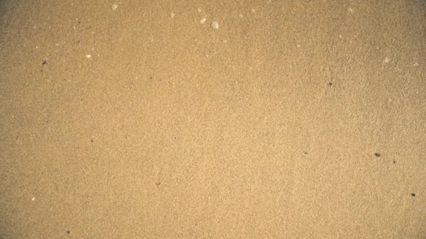 Песчаный берег моря омывают волны высокого угла видео — стоковое видео