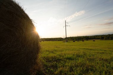 Güzel Rus görünümü bir yaz akşamı under