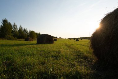 Güzel Rus vurdu manzara eğe