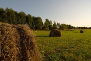 Güzel Rus dosyalanmış manzaralı terk