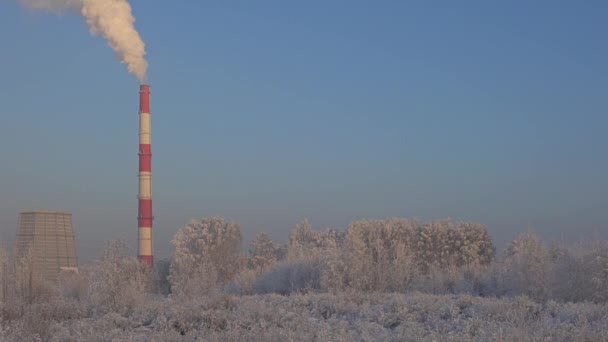 Прекрасный Зимний Промышленный Ландшафт Трубами Завода Белым Дымом Выходящим Ясный — стоковое видео