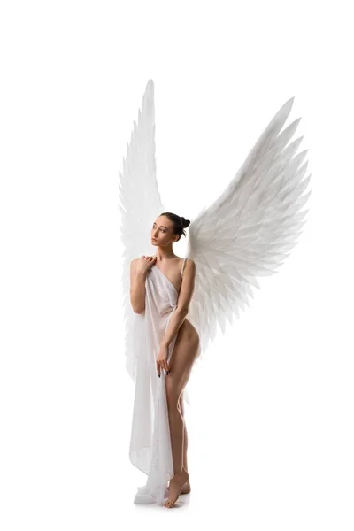 裸体女人与美丽的翅膀拍摄 — 图库照片