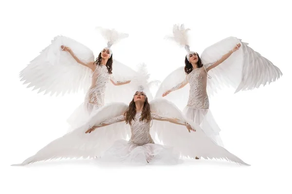 Girls in beautiful dresses and wings shot — Stock Photo, Image
